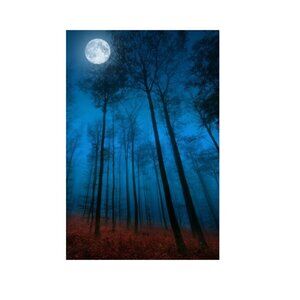 Dialogue With The Moon Poster 170